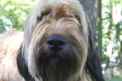 EmmyBriard-Mix