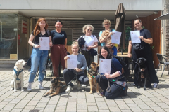 Hundefuehrerschein_2025-05-30