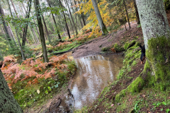2022-10-16_WandertagBrunnBirkensee_1