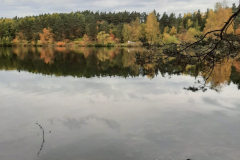 2022-10-16_WandertagBrunnBirkensee_11