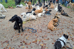 2022-10-16_WandertagBrunnBirkensee_16
