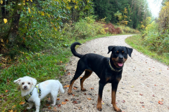 2022-10-16_WandertagBrunnBirkensee_2