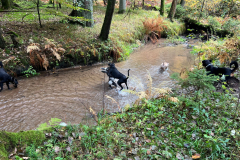 2022-10-16_WandertagBrunnBirkensee_5