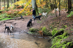 2022-10-16_WandertagBrunnBirkensee_6