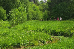 2023-05-21_wanderung_05