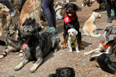 2023-05-21_wanderung_06