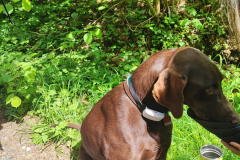 2023-05-21_wanderung_12