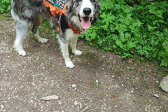 2023-05-21_wanderung_16