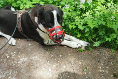2023-05-21_wanderung_20
