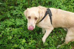 2023-05-21_wanderung_22