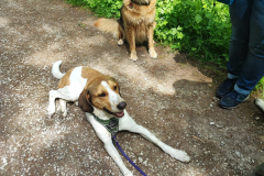 2023-05-21_wanderung_26