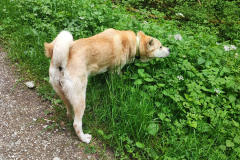 2023-05-21_wanderung_32