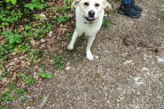 2023-05-21_wanderung_33