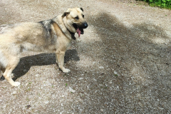 2023-05-21_wanderung_39